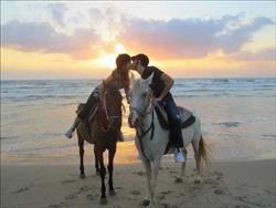 טיול סוסים  רומנטי על חוף הים - 3