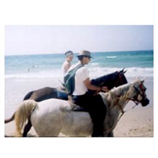 ארוחה רומנטית - טיול סוסים ארוחה רומנטית - טיול סוסים