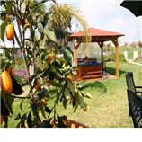 חבילת הנסיכים-צימר ספא+לינה חבילת הנסיכים-צימר ספא+לינה