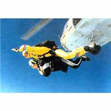 צניחה חופשית צניחה חופשית