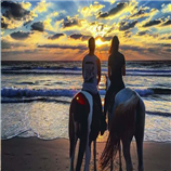 טיול סוסים  רומנטי על חוף הים