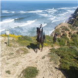 טיול סוסים זוגי טיול סוסים זוגי