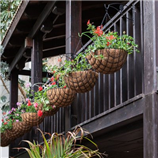 יום ספא רומנטי- חלום לשניים יום ספא רומנטי- חלום לשניים