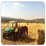 פשוט להתחבר לטבע... פשוט להתחבר לטבע...