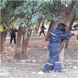 חוויה אתגרית – משחק פיינטבול זוגי חוויה אתגרית – משחק פיינטבול זוגי