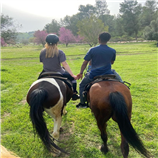 טיול סוסים זוגי רומנטי בדרום טיול סוסים זוגי רומנטי בדרום