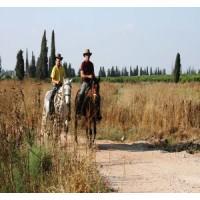 טיול סוסים לילי+ארוחה על האש - 1 טיול סוסים לילי+ארוחה על האש - 1