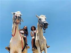 טיול סוסים זוגי - 1 טיול סוסים זוגי - 1