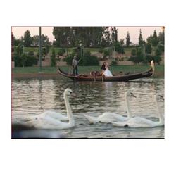 חבילת הצעת נישואין בים וביבשה - 0 חבילת הצעת נישואין בים וביבשה - 0