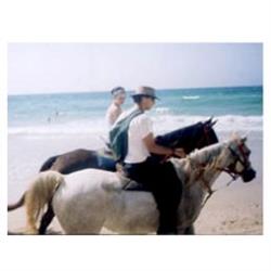 ארוחה רומנטית - טיול סוסים - 0 ארוחה רומנטית - טיול סוסים - 0