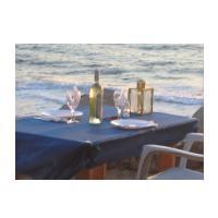 ארוחה רומנטית - טיול סוסים - 1 ארוחה רומנטית - טיול סוסים - 1