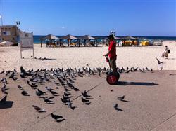 מתגלגלים בדרך שלכם - 2 מתגלגלים בדרך שלכם - 2