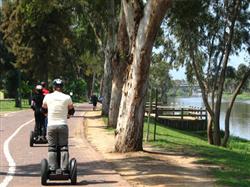 מתגלגלים בדרך שלכם - 6 מתגלגלים בדרך שלכם - 6