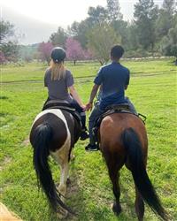 טיול סוסים זוגי רומנטי בדרום - 5 טיול סוסים זוגי רומנטי בדרום - 5