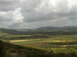 פשוט להתחבר לטבע... - 8 פשוט להתחבר לטבע... - 8