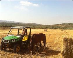 פשוט להתחבר לטבע... - 10 פשוט להתחבר לטבע... - 10