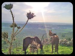 פשוט להתחבר לטבע... - 2 פשוט להתחבר לטבע... - 2