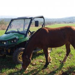 פשוט להתחבר לטבע... - 3 פשוט להתחבר לטבע... - 3