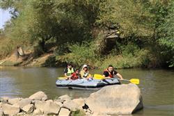 הורד האדום - 7 הורד האדום - 7