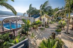 הורד האדום - 3 הורד האדום - 3