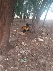 פיינטבול זוגי בבית שמש - 2 פיינטבול זוגי בבית שמש - 2