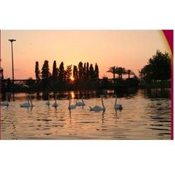 רומנטיקה בגונדולה ונציה - 2 רומנטיקה בגונדולה ונציה - 2