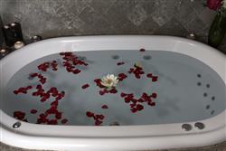 קוקטייל החלומות - 1 קוקטייל החלומות - 1