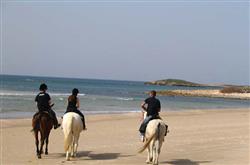 טיול סוסים  רומנטי על חוף הים - 1
