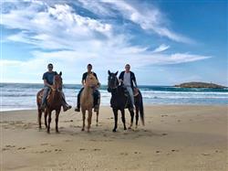 טיול סוסים  רומנטי על חוף הים - 2 טיול סוסים  רומנטי על חוף הים - 2