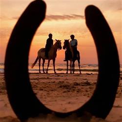 טיול סוסים  רומנטי על חוף הים - 4