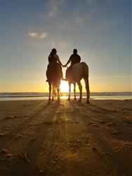 טיול סוסים  רומנטי על חוף הים - 5