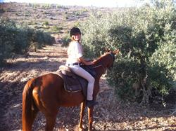 אתגר רומנטי בשטח - 4 אתגר רומנטי בשטח - 4